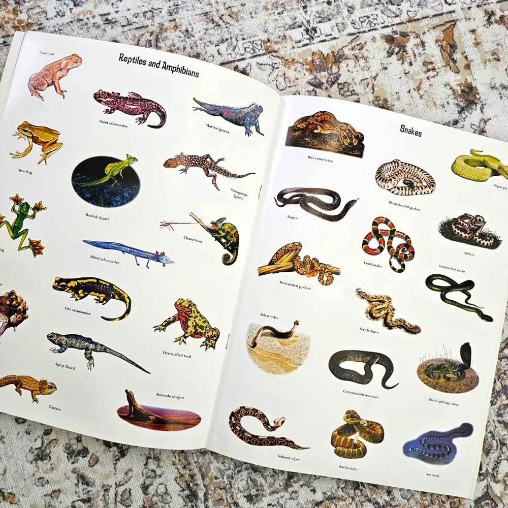 Set of 2 Children's Sticker Books. "Slimy & Scaly" and "Wet & Wild" . Softcover. - Picture 13 of 16